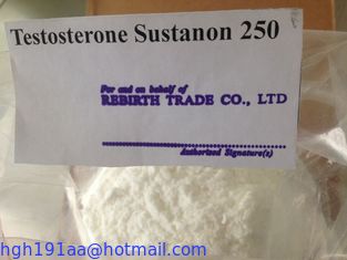 Weißes/elfenbeinfarbenes rohes Testosteron Sustanon für brennendes Körperfett Lieferant 