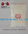 China Mund-/injizierbares Steroid-Mittel-rohes Testosteron-Pulver-Propionat CAS 57-85-2 Verteiler 