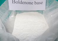 Am Besten 98% reines rohes Boldenone Pulver Boldenone-Steroid-Mittel CAS 846-48-0 für Bodybuilder m Verkauf