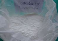 China Legales gesundes rohes Testosteron-Pulver Isocaproate ohne Nebenwirkungen 15262-86-9 Verteiler 