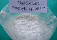 99% reines Nandrolone-Steroid Phenylpropionate Durabolin bodybuildendes CAS Nr. 62-90-8 m Verkauf