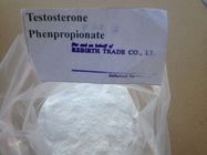 China Testosteron Testolent rohes Steroidpulver 1255-49-8 Phenylproprionate für Muskel-Gewinn Verteiler 