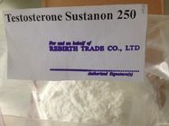 Weißes/elfenbeinfarbenes rohes Testosteron Sustanon für brennendes Körperfett m Verkauf